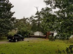 Storm damage fallen trees